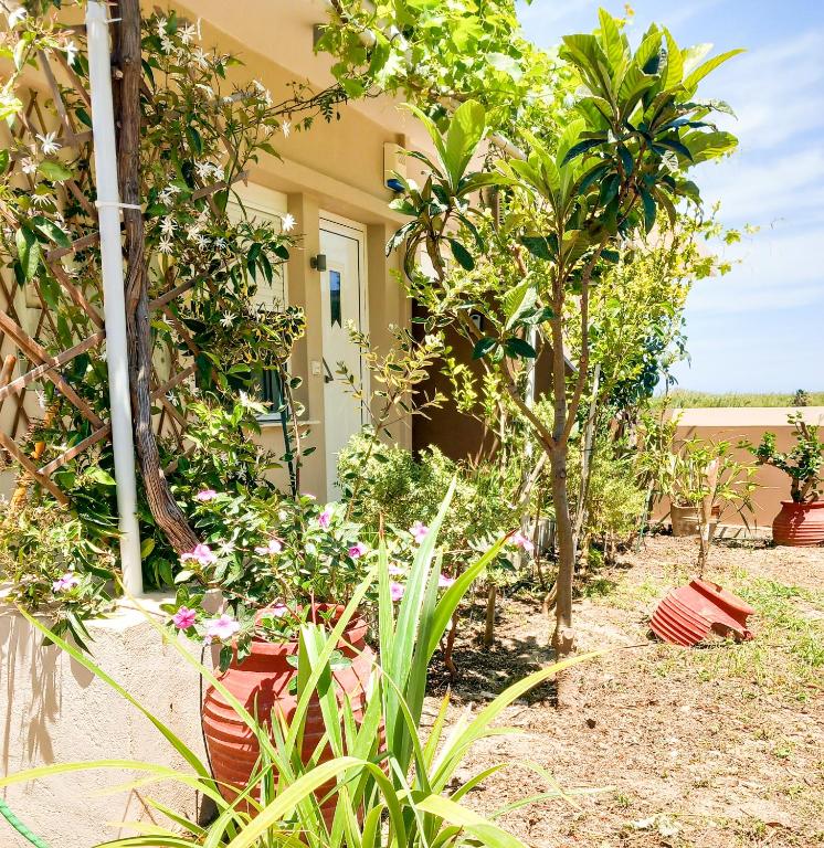 Zahrada ubytování Yucca Studio, beautiful apartment with garden