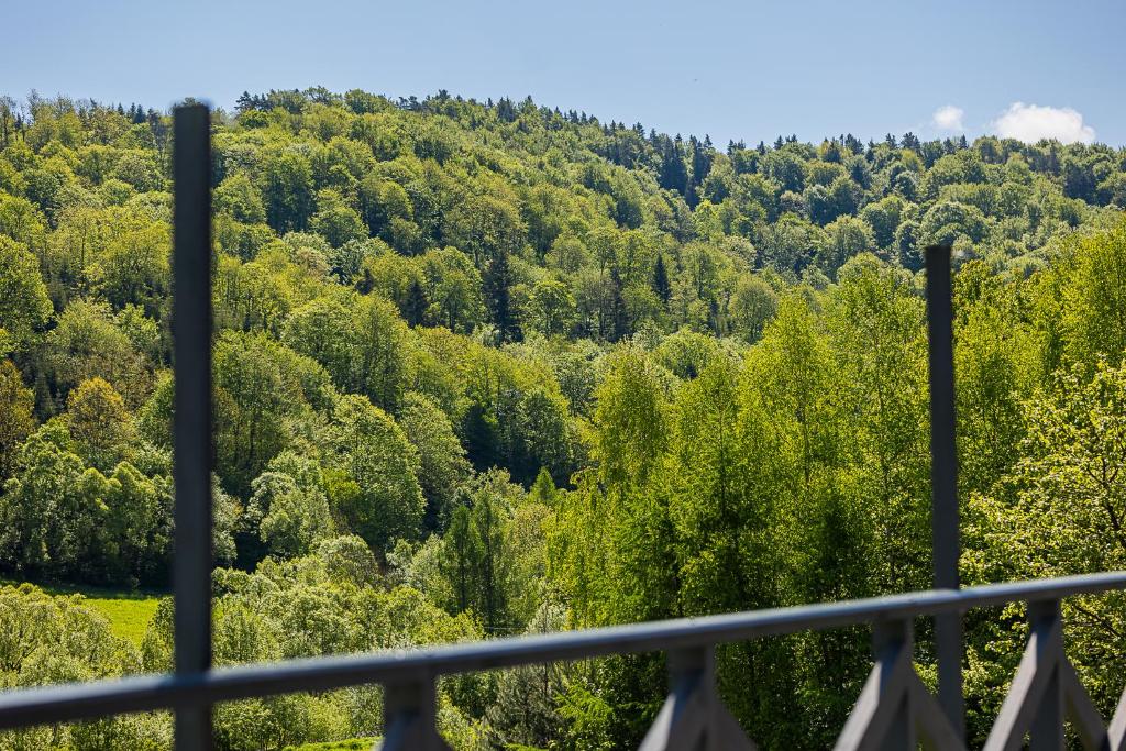 Príroda v okolí apartmánu