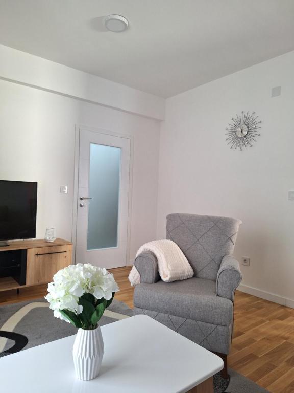 a living room with a chair and a tv at Apartman IGOR Trebinje in Trebinje