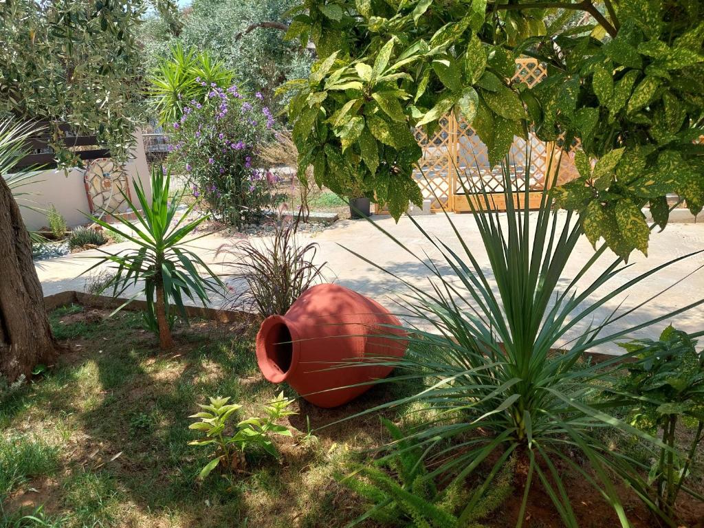 Κήπος έξω από το Valia House Thassos
