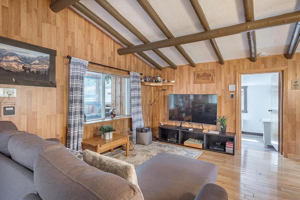 TV a/nebo společenská místnost v ubytování Chalet Wapiti