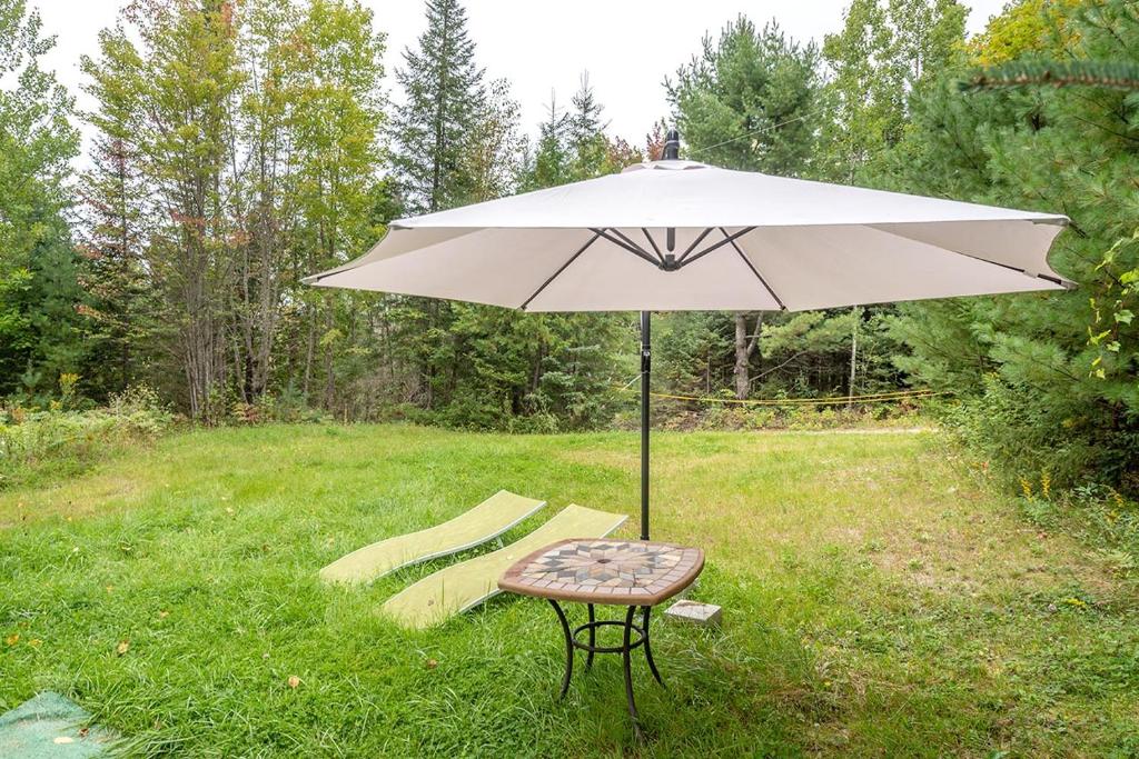 Zahrada ubytování Chalet Wapiti
