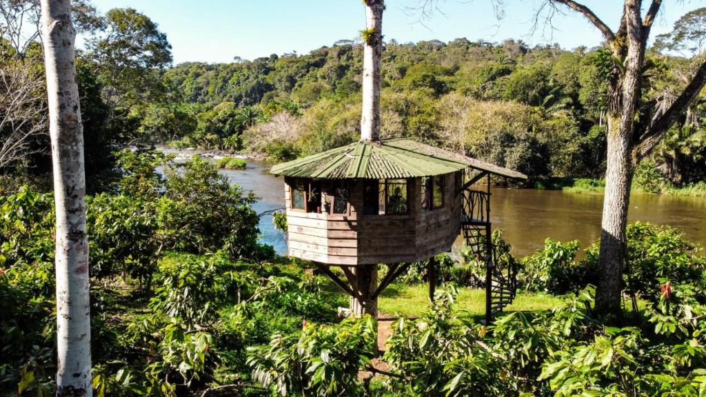 a tree house in a forest next to a river at Moradia da Mata in Nilo Peçanha