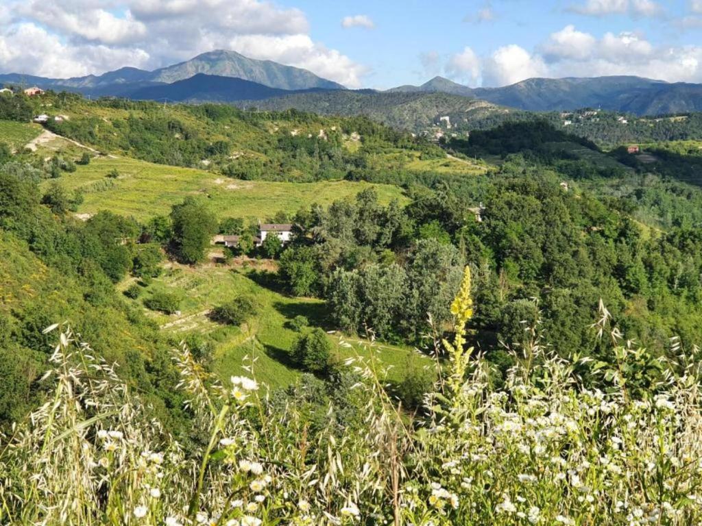 Příroda nedaleko apartmánu