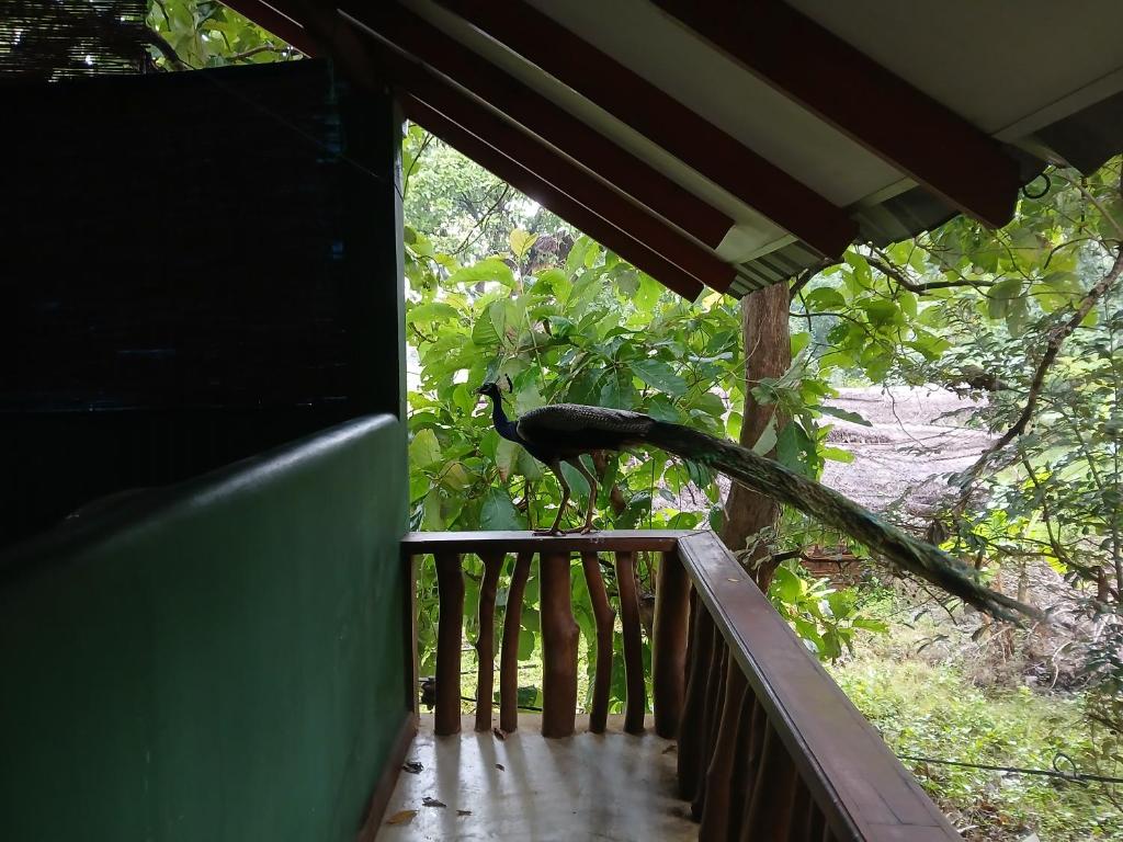Balkón nebo terasa v ubytování Sigiri Holiday Villa