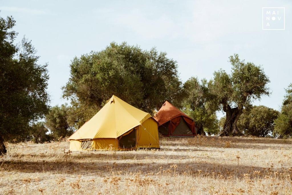 Design Private Bell Tents Great for a Glamping Experience in Portugal