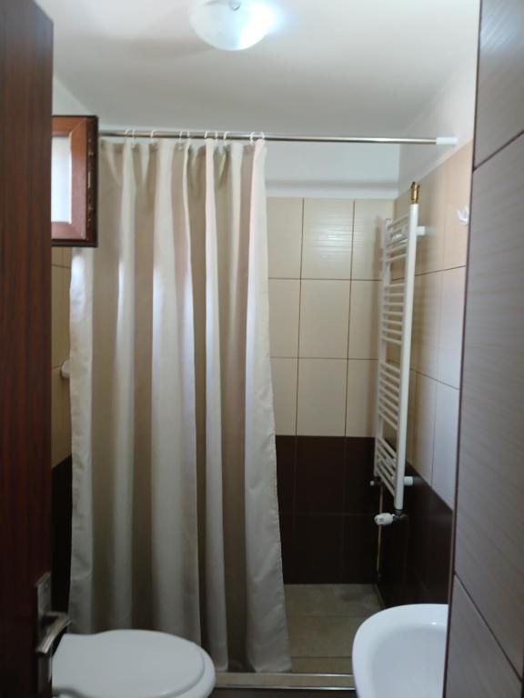 bagno con tenda per la doccia e servizi igienici di Casa Fabrizio a Călimăneşti