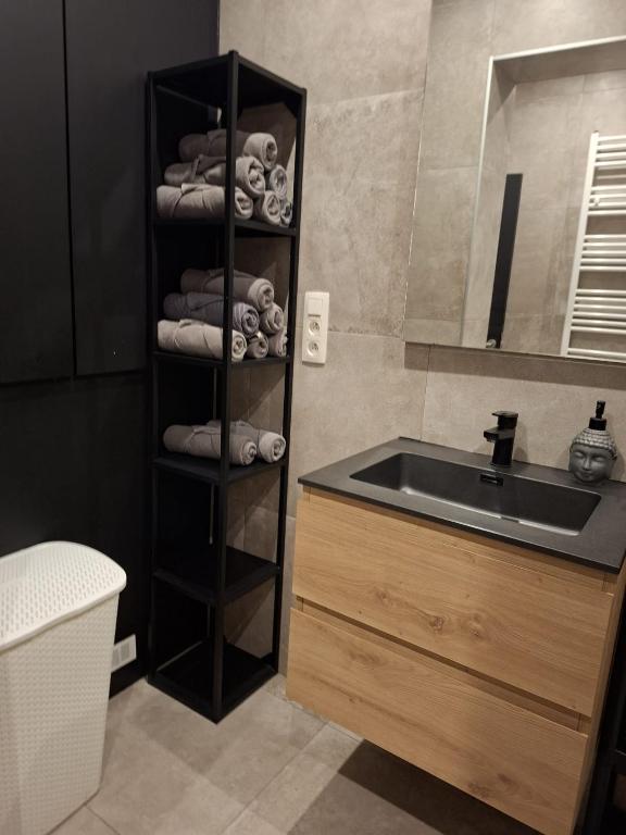 a bathroom with a sink and a shelf with towels at Le Franchet in Dinant