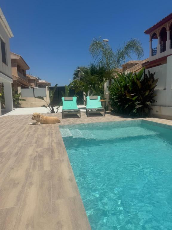 un cane steso a terra accanto a una piscina di Tropical Garden Home - Cozy Ground Floor Stay a San Pedro del Pinatar