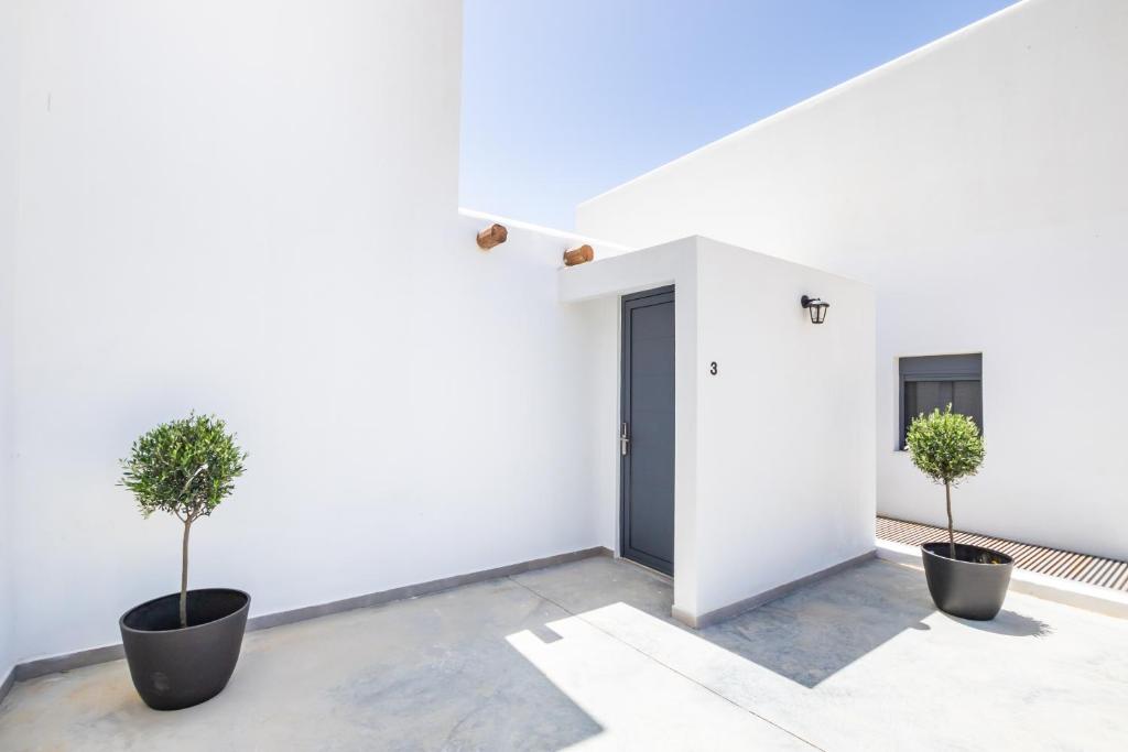 Fotografie z fotogalerie ubytování Cato Agro 3, Seafront Villa with Private Pool v destinaci Karpathos