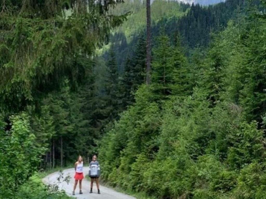 Príroda v okolí dovolenkového domu