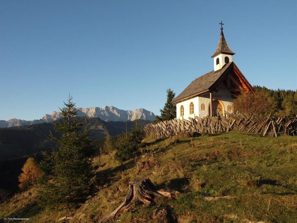 Príroda v okolí dovolenkového domu