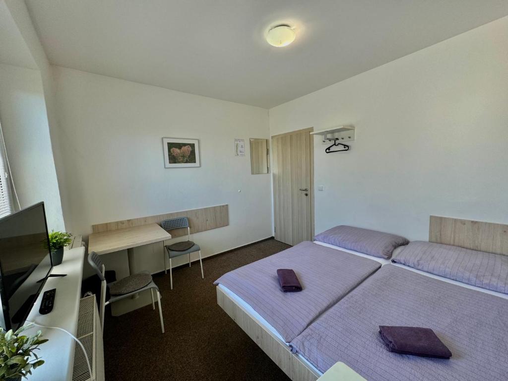 a bedroom with a bed and a desk and a computer at MiniPenzion Na Vyhlídce in Olomouc
