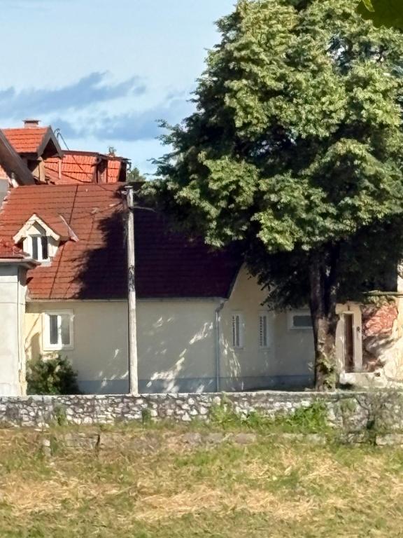 Captain's house - 12