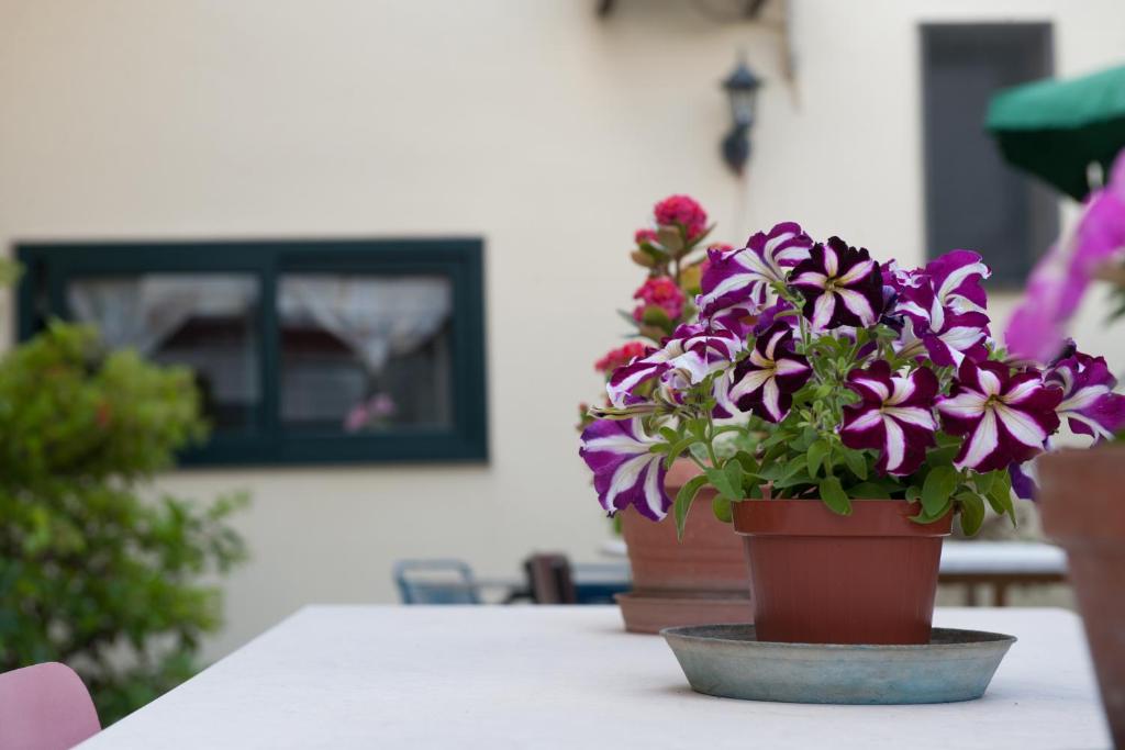 Fotografie z fotogalerie ubytování Bed&Breakfast Annapaola v destinaci Lequile