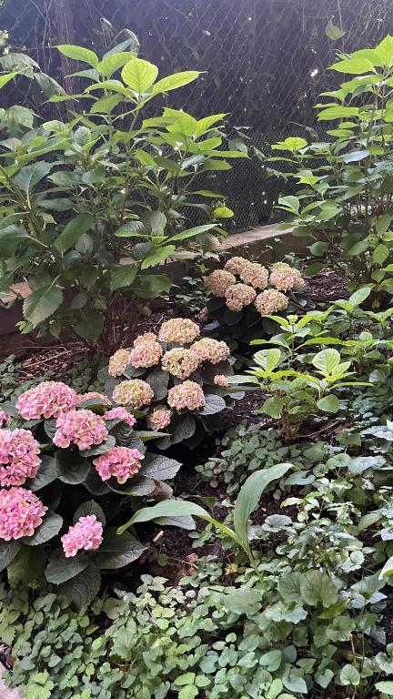 Hotel Colombia - Resim 45