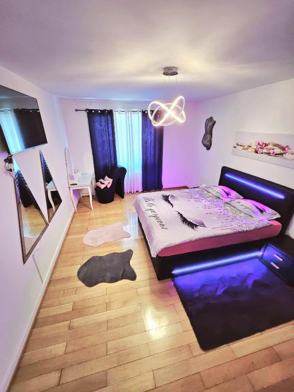 Charmante Wohnung Basel Dreiländereck CH, DE & FR - Resim 2