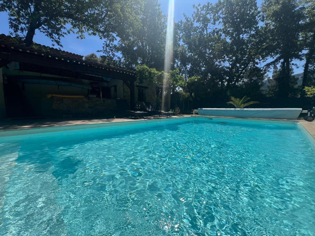 Le Mimosa