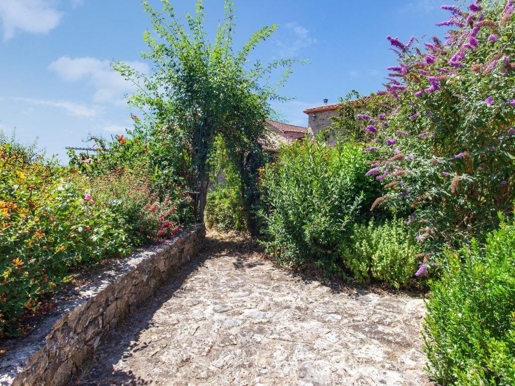 ścieżka przez ogród z kwiatami i krzakami w obiekcie Traditional Apartment in Ribeira Sacra with Garden w mieście Castillón