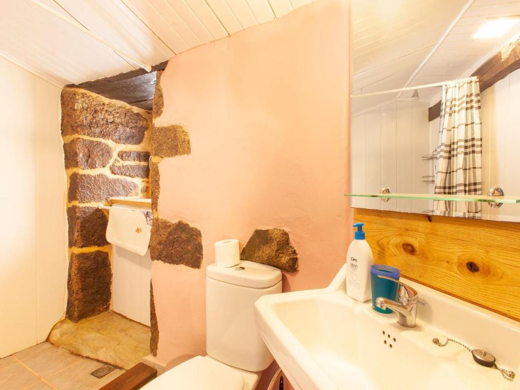 łazienka z toaletą i umywalką w obiekcie Traditional Apartment in Ribeira Sacra with Garden w mieście Castillón