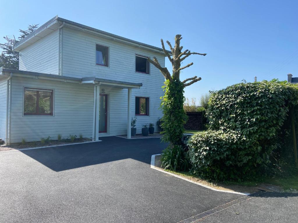 une maison blanche avec un arbre devant dans l'établissement La cabane de la baie, à Plounévez-Lochrist