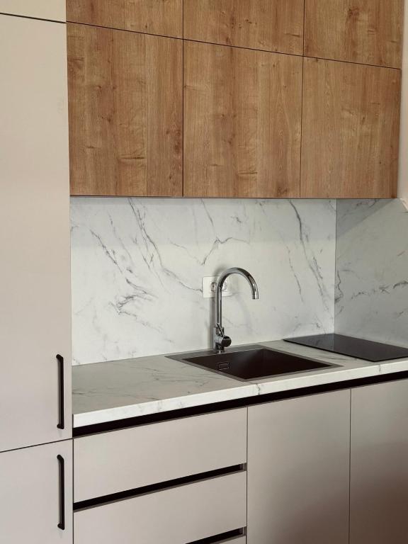 Apartments Mrdak في بار: مطبخ مع حوض ودواليب خشبية