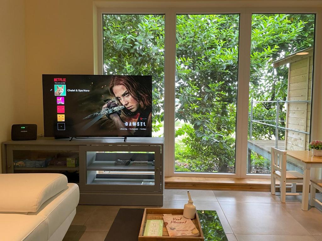 TV a/nebo společenská místnost v ubytování Chalet & Spa Nora