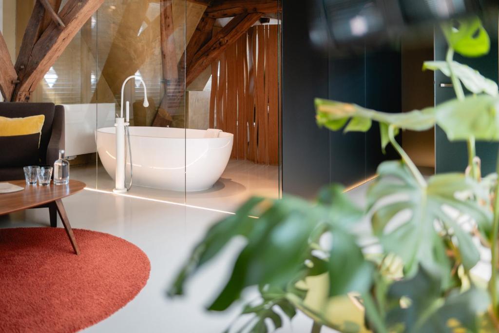 Posezení v ubytování B&B La Suite
