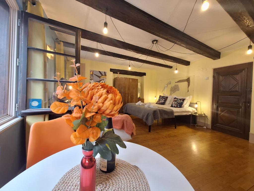 Maison Cliquot - Appartements Colmar Centre – photo 27