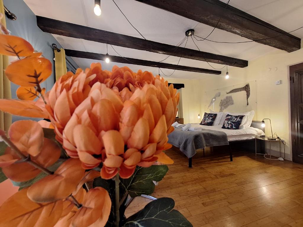 Maison Cliquot - Appartements Colmar Centre – photo 12