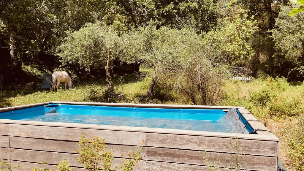 Bazén v ubytování Chalet avec piscine privée dans la forêt nebo v jeho okolí