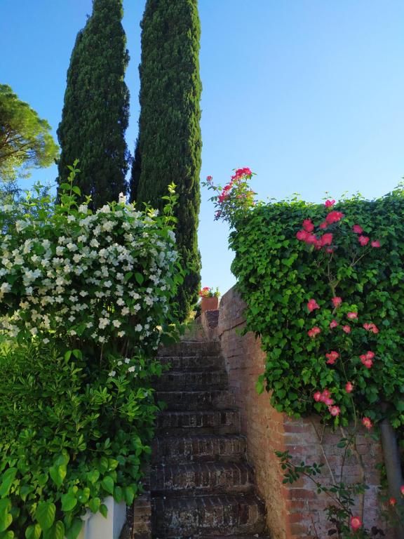 Zahrada ubytování Agriturismo Buon Riposo - Country Resort in the Heart of Tuscany