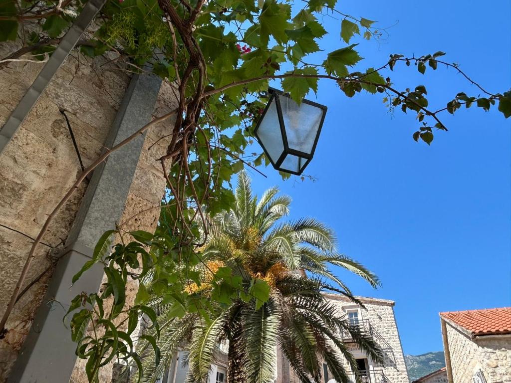 Fotografie z fotogalerie ubytování Michel Guesthouse v destinaci Budva