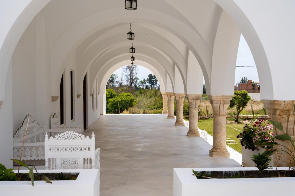 Garður fyrir utan Dar Kalitoussa B&B Hammamet