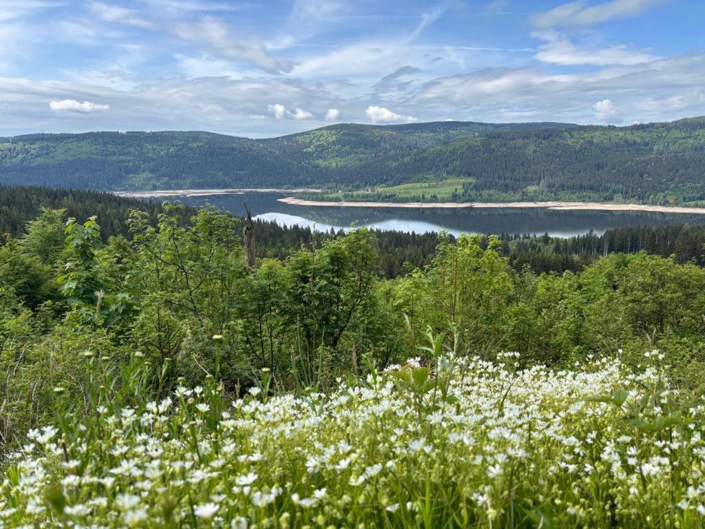 Příroda nedaleko apartmánu