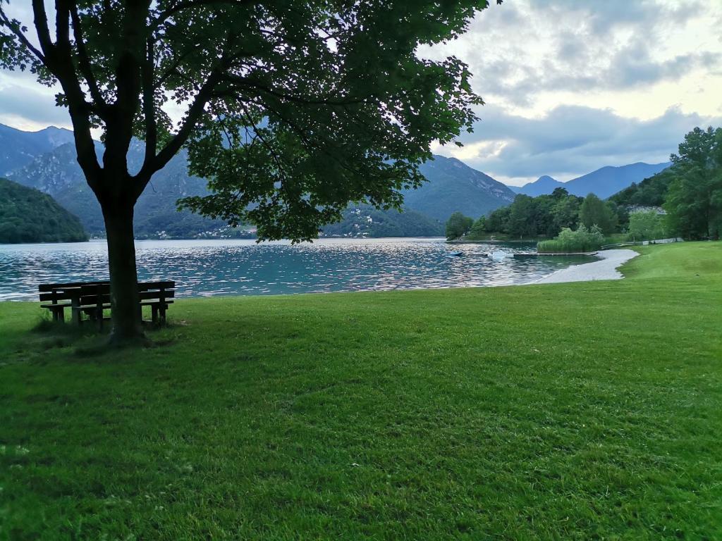 a park bench under a tree next to a lake at B&B GabriEle in Molina di Ledro