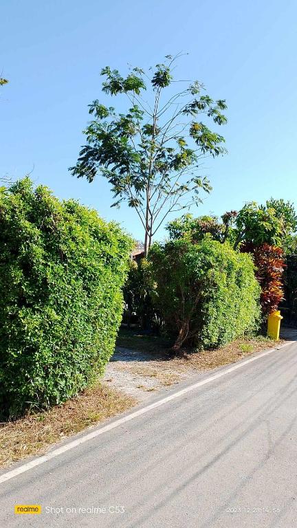 Fotografie z fotogalerie ubytování บ้านสโนว์เขาค้อ v destinaci Ban Chek