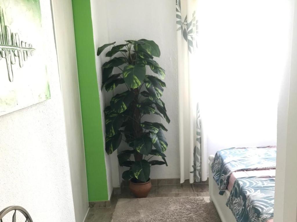 Łóżko lub łóżka w pokoju w obiekcie Casa Sol y Luna