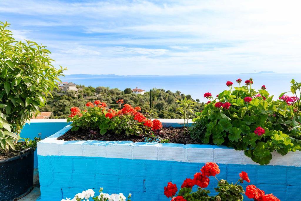 Billede fra billedgalleriet på Selami Sea View Apartments i Lukovë