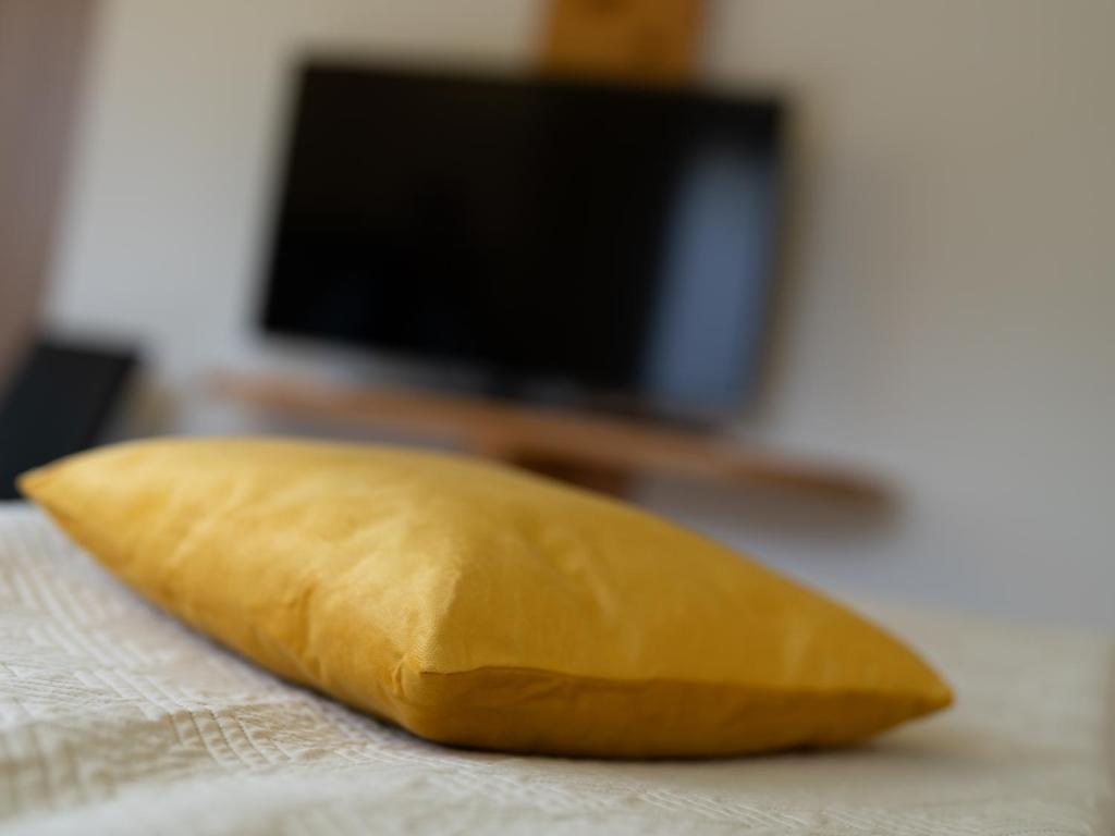 Televiisor ja/või meelelahutuskeskus majutusasutuses Valmari Seebungalows