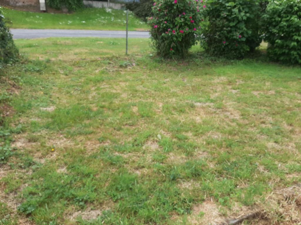 Photo de la galerie de l'établissement Emplacement libre a la campagne, à Saint-Gobert