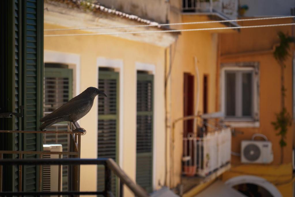 Kép Old Town Studios, Corfu szállásáról Korfuban a galériában
