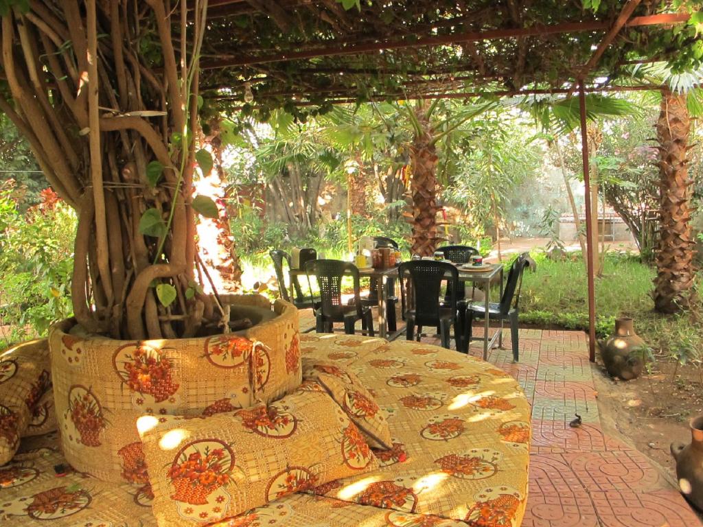 a table with a pot with a tree in it at B&B The Annex in Bahir Dar