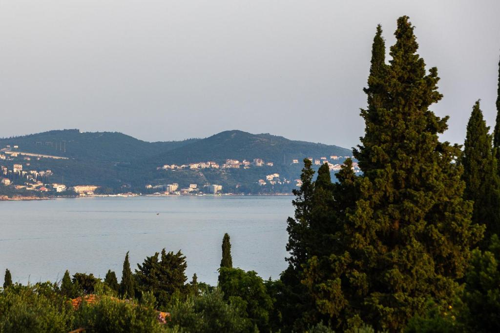 Apartment Lucija