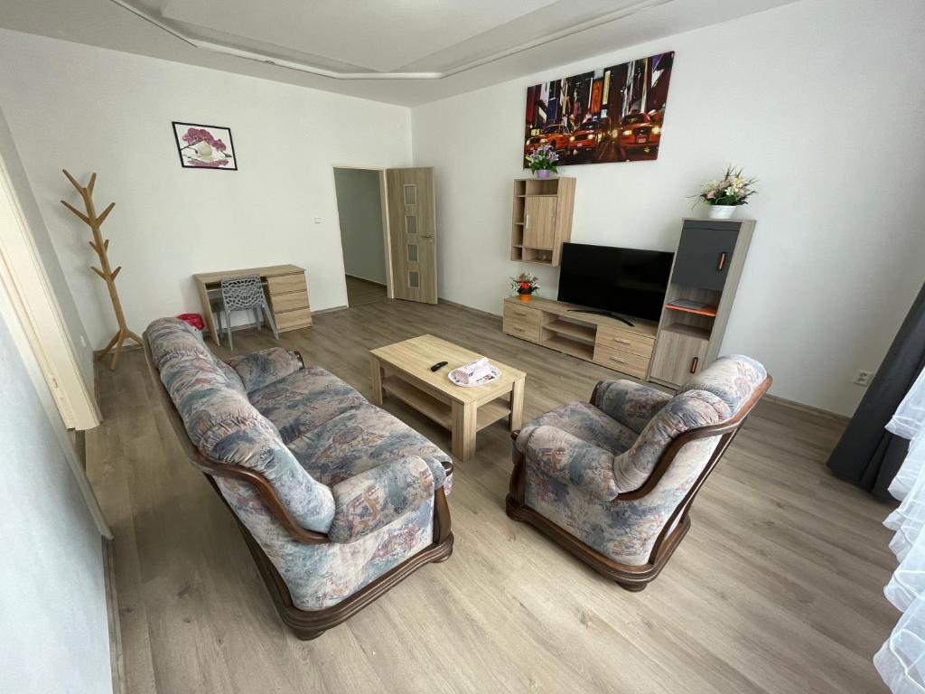 Telewizja i/lub zestaw kina domowego w obiekcie Grand apartments in the centre of Teplice