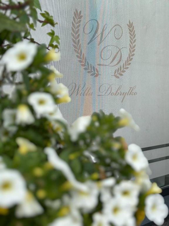 Certifikát, ocenenie alebo iný dokument vystavený v ubytovaní Willa Dobryłko II -Apartamenty