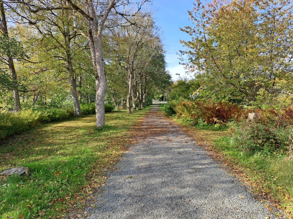 a dirt road with trees on both sides at Rosendala long stay by House Viola, 3 bedroom entire house in Bodafors, sleeps 7 in Bodafors
