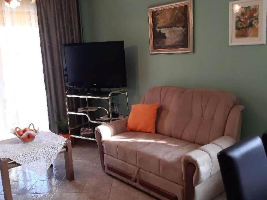 a living room with a brown couch and a television at One Bedroom Apartment with Balcony in Gajić