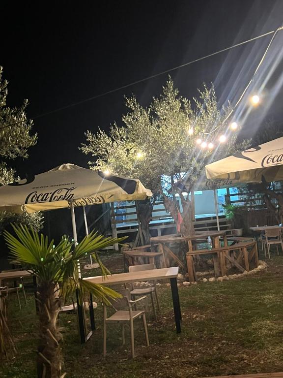 Zahrada ubytování Oasis Camping