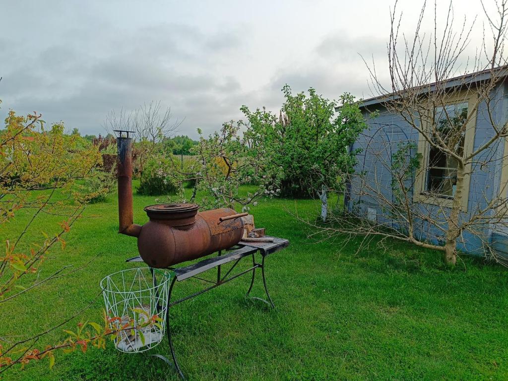 an old vase sitting on a table in a yard at Namelis Karklėje in Karklė